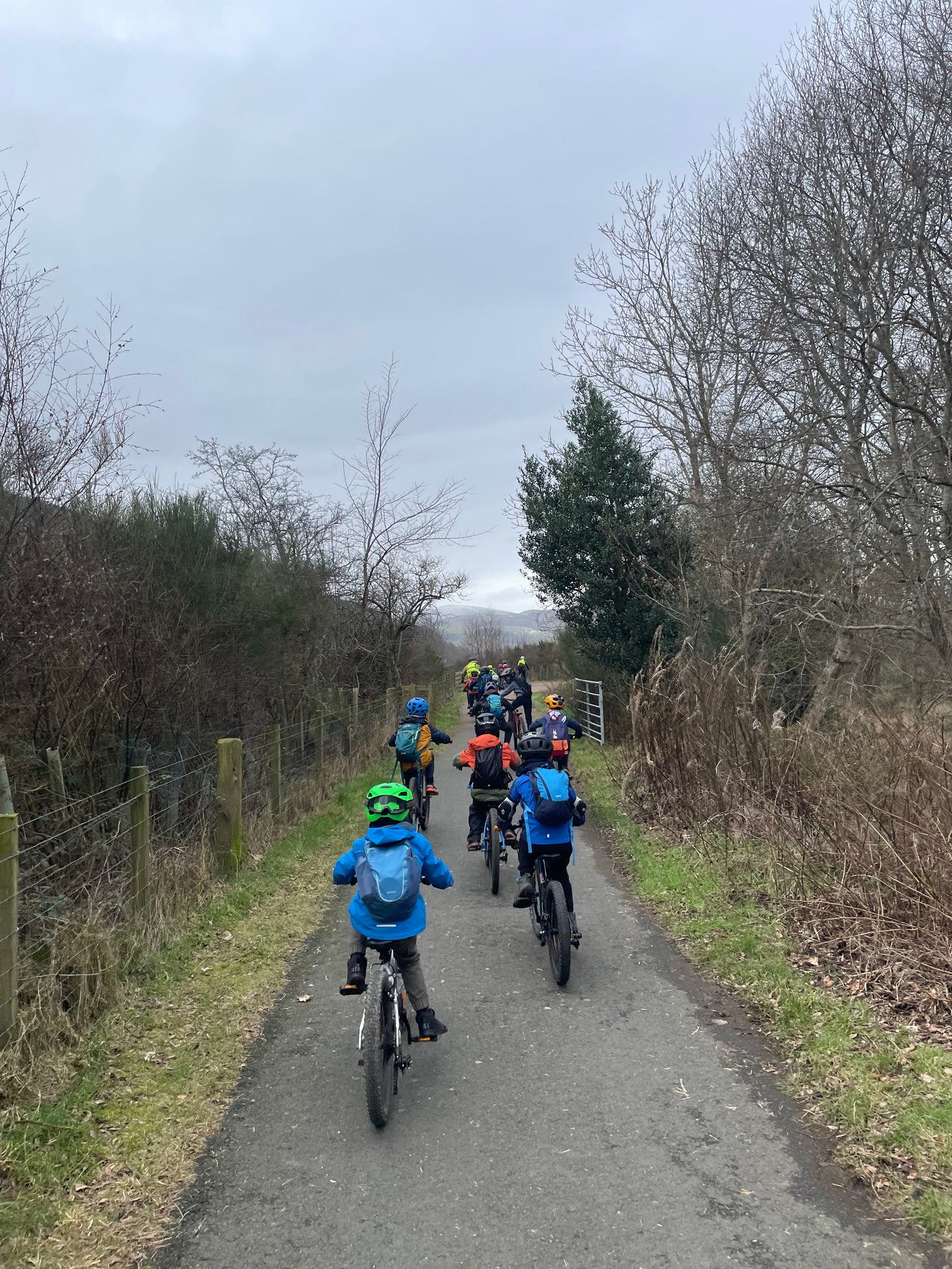 Gowaan Ice Cream Shred!