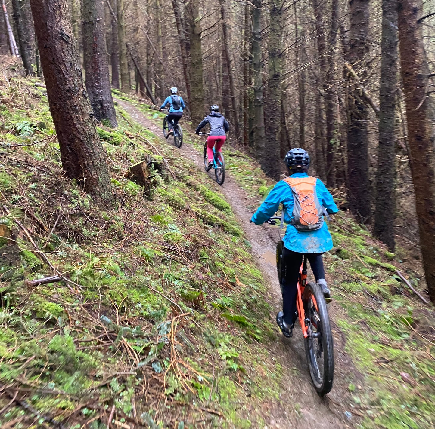 Parents - Keep up with the kids course